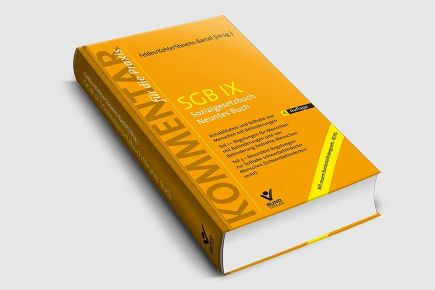 3D Cover SGB IX Kommentar für die Praxis 6719 Feldes Kohte Stevens 4. Auflage 2018 