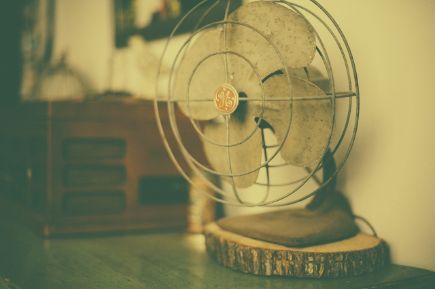 fan-349932_1280
