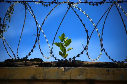 Gitter Gefängnis Stacheldraht Hoffnung Freiheit