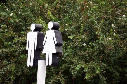 Gender Geschlecht Gleichheit restroom Toilette Symbol