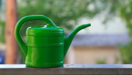 watering-can-1379721_1920