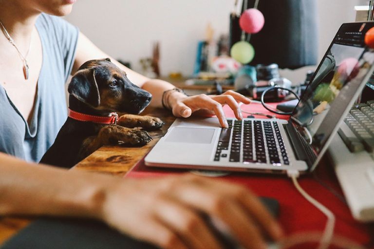Homeoffice