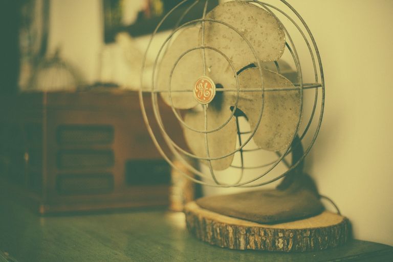 fan-349932_1280
