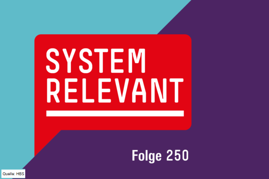 250_Systemrelevant